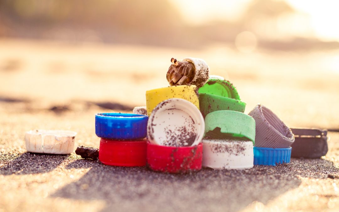 Tres R”: Reducir, Reutilizar, Reciclar ¿sabías que deben aplicarse en ese orden?