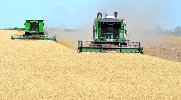 El costo de la guerra: la ONU alertó que los precios internacionales de los alimentos alcanzaron un nuevo récord histórico