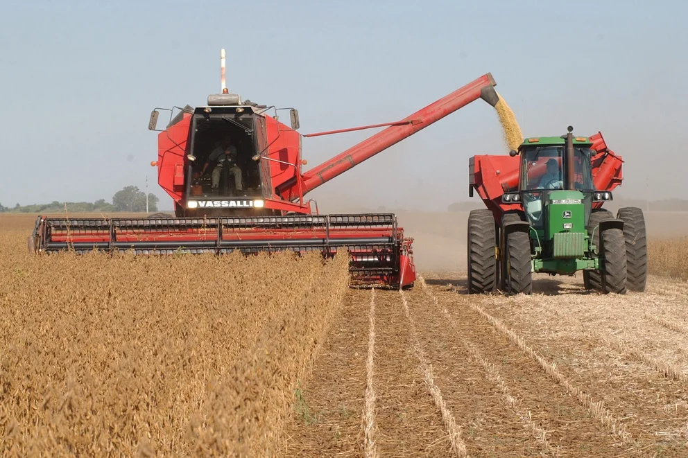 Dólar soja: analizan pagar un tipo de cambio de $200 para estimular más exportaciones del agro en septiembre