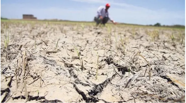 Este verano fue el tercero más seco en Argentina desde 1961