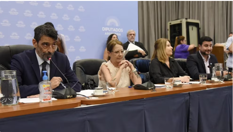 Diputados acelera el proyecto que busca crear 27 nuevas fiscalías federales para combatir la violencia narco en Rosario