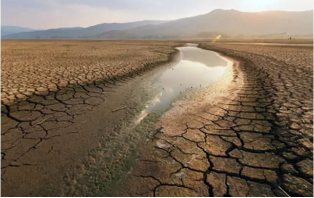 Temperaturas extremas: solo «un adelanto de lo que nos reserva el futuro»