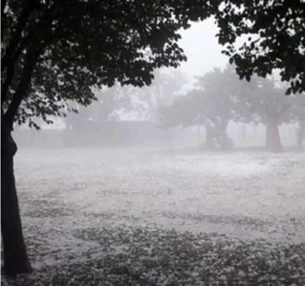 Alerta por lluvias y granizo hoy en Buenos Aires y 15 provincias más: los detalles del clima