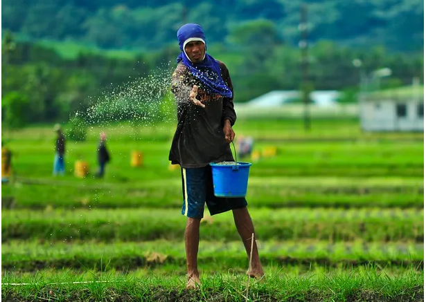 El Gobierno cerrará el Instituto de Agricultura Familiar