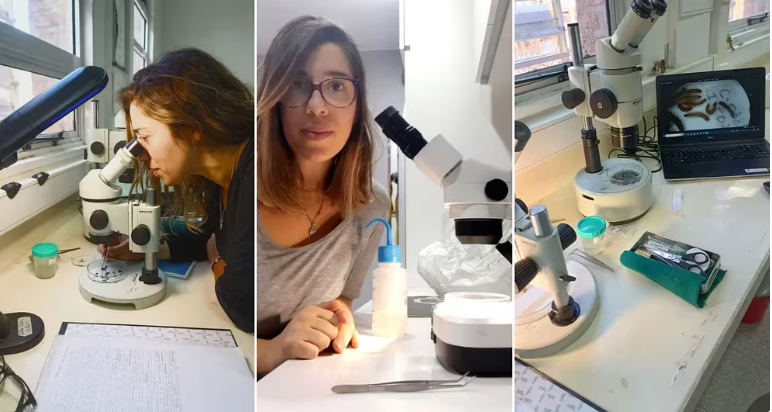 Es fanática de las moscas y como entomóloga forense resuelve casos policiales a partir de las larvas que crecen en los cadáveres