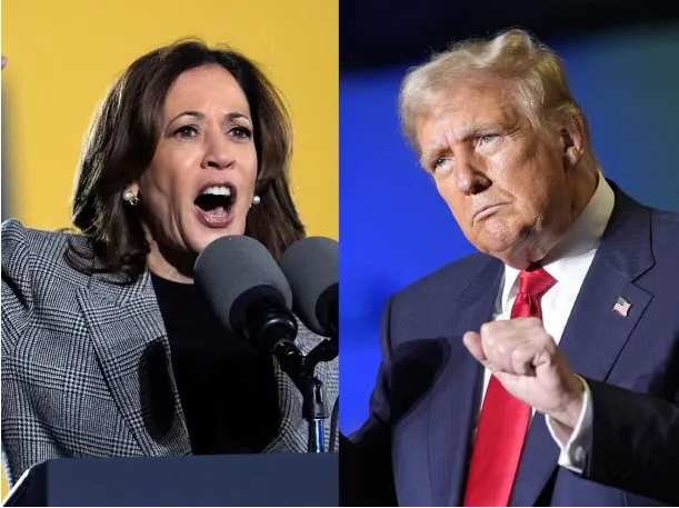 Estados Unidos: qué dicen las apuestas a días del cruce electoral entre Kamala Harris y Donald Trump