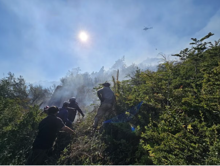 Cristian Larsen, director de Parques Nacionales: “Relevamos el 95% de los incendios forestales y solamente uno fue por causas naturales”