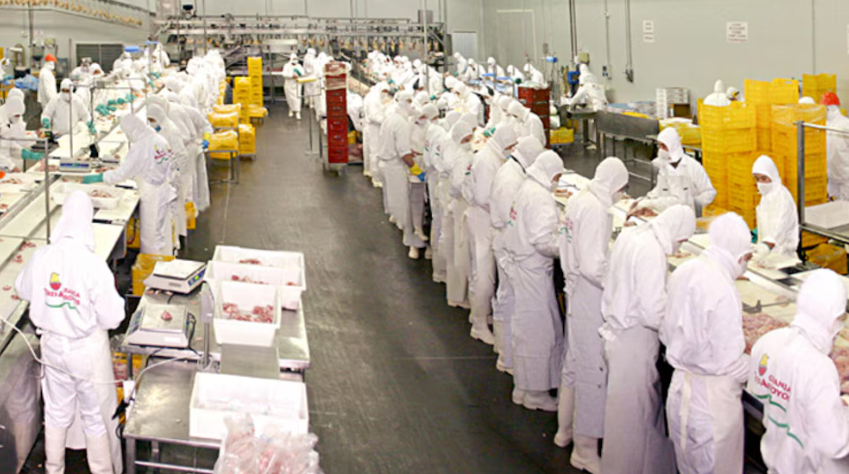 Una gigante avícola cerró una planta en Entre Ríos para bajar costos en plena crisis del sector: qué pasa con los empleos