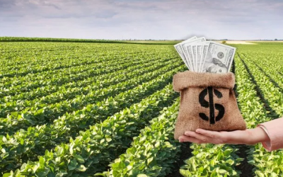 Es oficial la baja de las retenciones al campo: todos los detalles