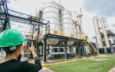 Alertan que la Unión Europea dejará de comprar biodiésel de soja y aceite de la Argentina